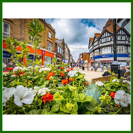 Close view of the colourful flowers with Wrexham town centre in the background